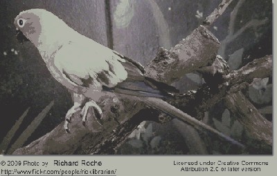 fot. 4.jpg