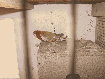 PICT0098.JPG