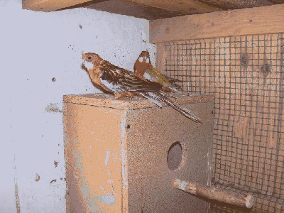 PICT0094.JPG