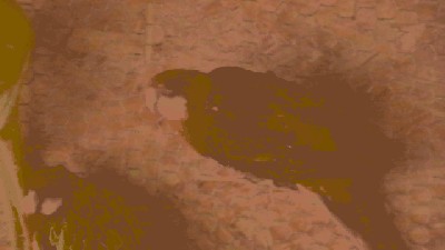 IMGA0062.JPG