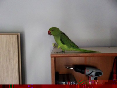 100_2582.JPG