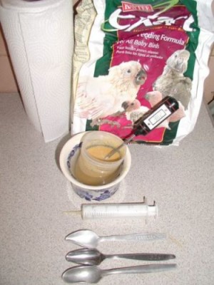 P9080037.jpg (36.46 KiB) Przejrzano 20572 razy P9080037.jpg