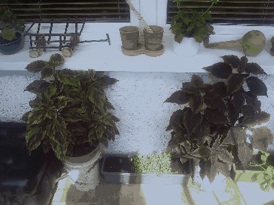 balkon2.JPG