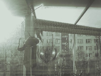 S4031922.JPG