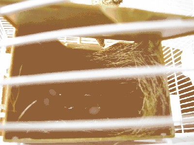 PICT2203.JPG