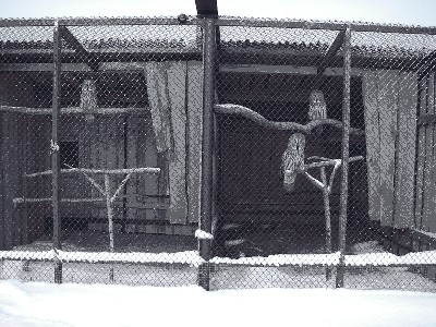 IMGP1211.JPG