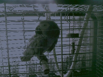 20090902.jpg