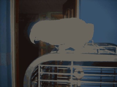 DSCN5187.JPG