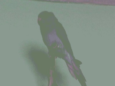 Image(090).jpg