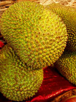 Durian - owoc.jpg