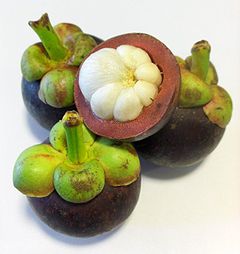 Garcynia.jpg