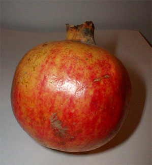 granat3.jpg