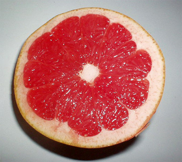 grapefrut3.jpg