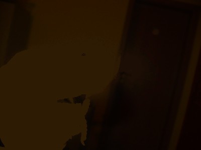 h.jpg