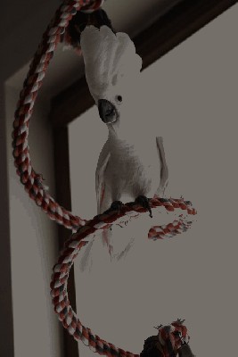 Baby2.jpg
