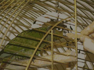 PICT5927.JPG