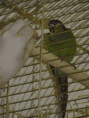 PICT5898.JPG