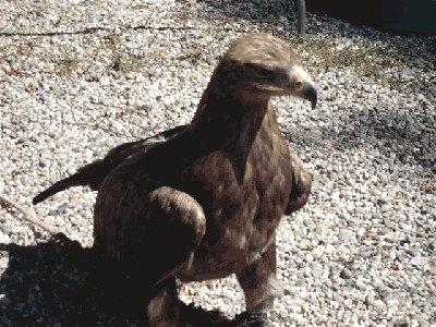 Zdjęcia maj '09 078.jpg