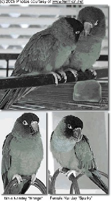 fot. 1.jpg