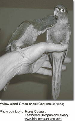 Mutacja nr. 2 (fot. 3).jpg