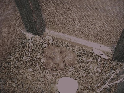 DSCN9871.JPG