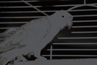 DSC_1179.JPG