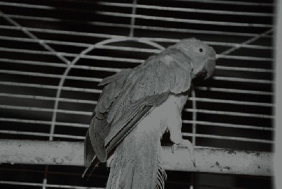 DSC_1178.JPG