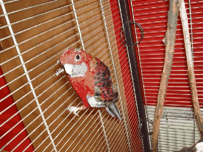 DSC03165.JPG