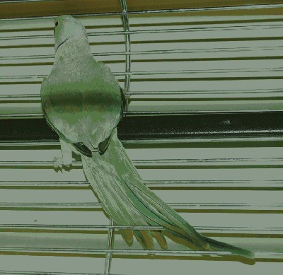 DSC_0300.JPG