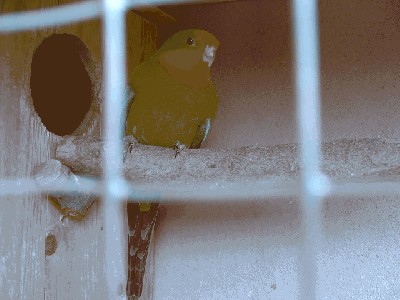 P1000855.JPG