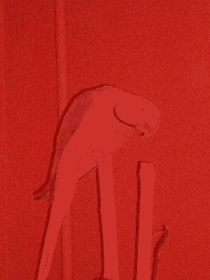 zielo.jpg