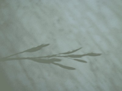 PICT0104.JPG
