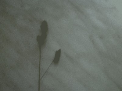 PICT0103.JPG
