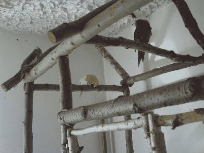 PICT0037.JPG