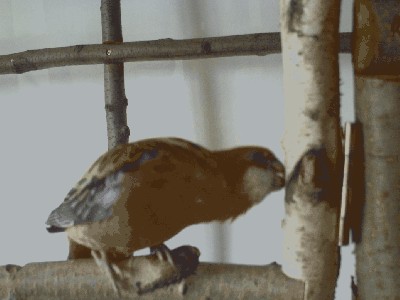 PICT0036.JPG