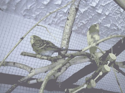 PICT0144.JPG