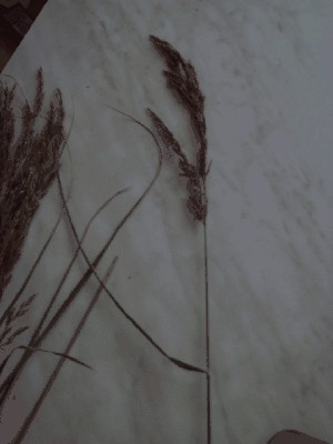 PICT0019.JPG