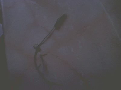 PICT0016.JPG