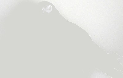 20082011006.jpg