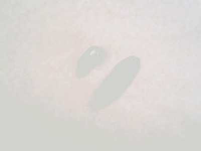 03092011094.jpg