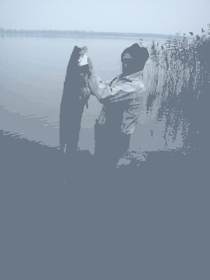 SUMIK. 12,5KG.JPG