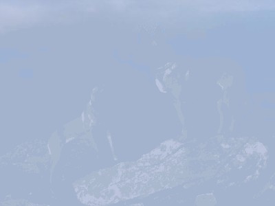 babia patrol 030.jpg
