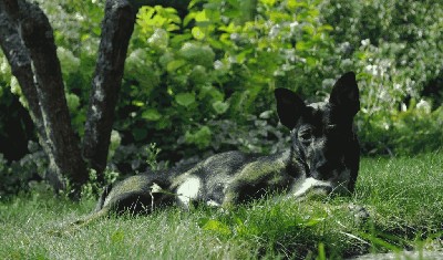 DSC_0050.JPG
