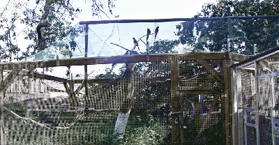 IMG_1428.JPG