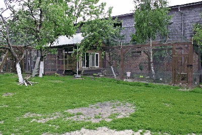 IMG_1227.JPG