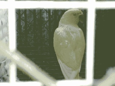 20121009230.jpg