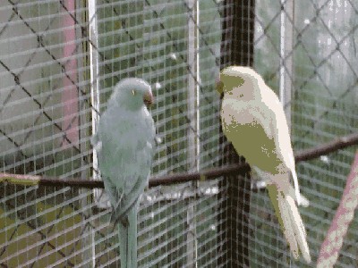 20121009222.jpg