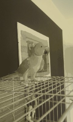 IMAG0157.jpg