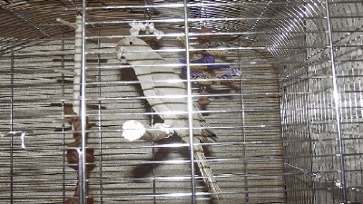 DSCF1513.JPG