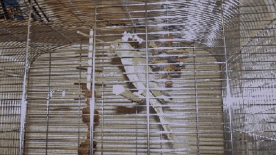 DSCF1511.JPG
